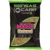 Návnada a nástraha Sensas Magic Natural 2kg