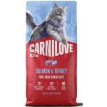 Carnilove Active Kittens Salmon and Turkey 6 kg – Zboží Dáma
