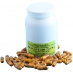 Marine Harvest Žraločí chrupavka a Vitamín C tbl 800 mg 300 ks – Hledejceny.cz
