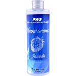 Techneco PWS Jahoda 250 ml – HobbyKompas.cz