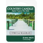 Country Candle vosk do aroma lampy Cilantro Citrus & Seagrass 64 g – Zboží Mobilmania
