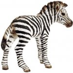 Schleich 14393 zebra hříbě – Zboží Mobilmania