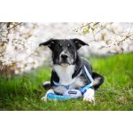 Vsepropejska Zandor postroj pro psa s vodítkem – Zboží Mobilmania