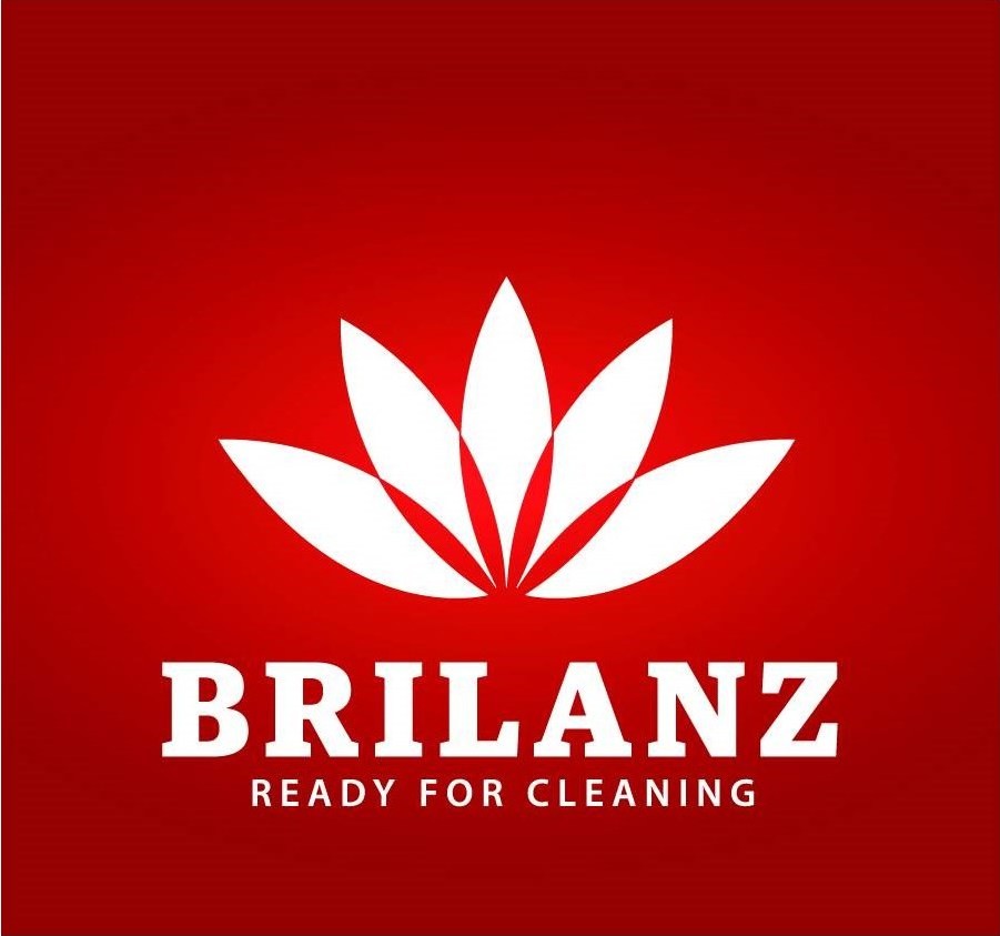 Brilanz 43HY2116BR mop