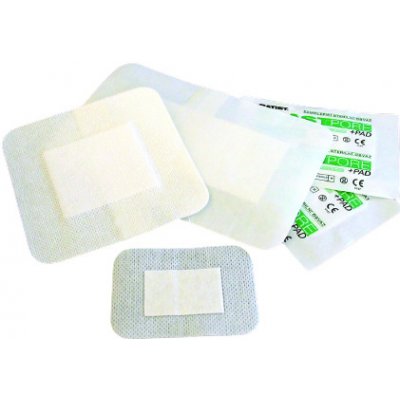 Elastpore+PAD Batist polštářková sterilní náplast z NT 10 x 30 cm 25 ks – Zboží Mobilmania