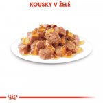 Royal Canin Sterilised Jelly 85 g – Sleviste.cz