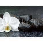 WEBLUX 113515481 Samolepka fólie White orchid and black stones close up. Bílá orchidej a černé kameny zblízka., rozměry 100 x 73 cm – Zbozi.Blesk.cz