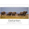 Kalendář Elefanten Sanfte Riesen in Afrika Wand DIN A2 quer CALVENDO Monats 2024