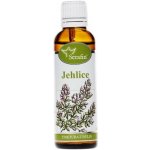 Serafin tinktura z bylin Jehlice trnitá 50 ml – Hledejceny.cz