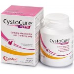Candioli Cystocure powder 30 g – Zboží Dáma