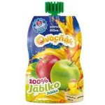 Ovocňák 100% Mošt jablko 200 ml – Zboží Dáma