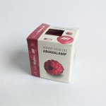 Rentex Vonný vosk kostičky Lesní malina 8 ks 30 g – Hledejceny.cz