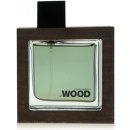 Parfém Dsquared2 He Wood Rocky Mountain Wood toaletní voda pánská 50 ml