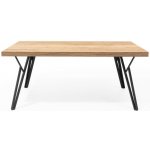 Bradop DINO MINI 110x60 cm – Zboží Dáma