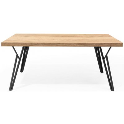 Bradop DINO MINI 110x60 cm – Zboží Dáma