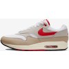 Skate boty Nike Air Max 1 NCPS