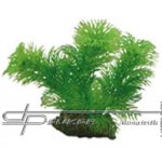 Hobby Egeria 13 cm – Sleviste.cz