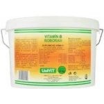 Univit Roboran Vitamin B komplex plv 2 kg – Zboží Dáma