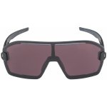 Alpina BONFIRE MAG Q – Sleviste.cz