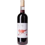 Wet Dog Wine Pinot noir 2024 10,5% 0,75 l (holá láhev) – Hledejceny.cz