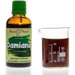 Bylinné kapky Damiana 50 ml – Hledejceny.cz