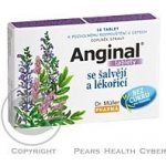 Dr.Müller Anginal se šalvějí+lékořicí 16 tablet – Hledejceny.cz