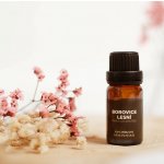 By Nefertitis Borovice lesní 100% esenciální olej 10 ml – Hledejceny.cz