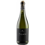 Anno Domini Prosecco DOC Frizzante bílé suché Itálie 11% 0,75 l (holá láhev) – Zboží Dáma