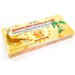 Ginseng Products Ženšen Ginkgo Biloba Extrakt ampule Korean 10 x 10 ml – Hledejceny.cz