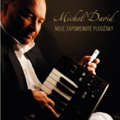 Michal David - MOJE ZAPOMENUTE PLOUZAKY 2LP