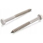 Šrouby do dřeva WT WINTECH a.s. 1 x 1 mm 1 ks – Hledejceny.cz