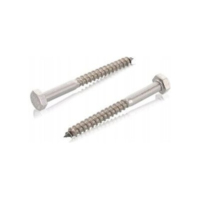 Šrouby do dřeva WT WINTECH a.s. 1 x 1 mm 1 ks – Hledejceny.cz