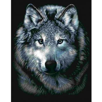 Vyškrabovací obrázek Vlk
