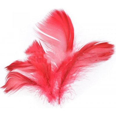 Peří v sáčku 10g červené – Zboží Dáma