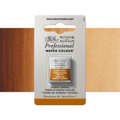 Winsor & Newton Professional Akvarelová barva půlpánvička Brown Umber – Hledejceny.cz