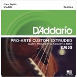 D'addario EJ65S – Sleviste.cz