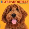 Kalendář Just Labradoodles Wall 2023