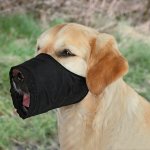 Trixie náhubek fixační pes L - XL – Zboží Dáma
