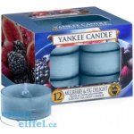 Yankee Candle Mulberry & Fig Delight 12 x 9,8 g – Hledejceny.cz