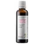 Dědek kořenář Svědivky® Dubové kapky s mátovou silicí RK–S 50 ml – Zboží Dáma