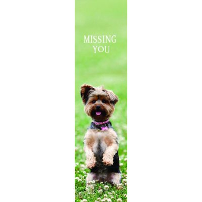 ZÁLOŽKA 3D - MISSING YOU - – Hledejceny.cz