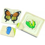 Montessori Životní cyklus motýla – Hledejceny.cz