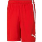 Puma teamLIGA Shorts – Zboží Mobilmania