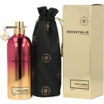 Montale Aoud Jasmine parfémovaná voda unisex 100 ml – Hledejceny.cz