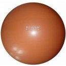 POWER SYSTEM POWER GYMBALL 55 cm