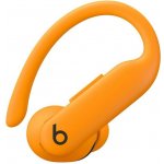 Apple Beats Powerbeats Pro 2 – Zboží Živě