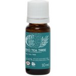 Tierra Verde Silice Tea tree BIO antibakteriální pomocník 30 ml – Zboží Mobilmania