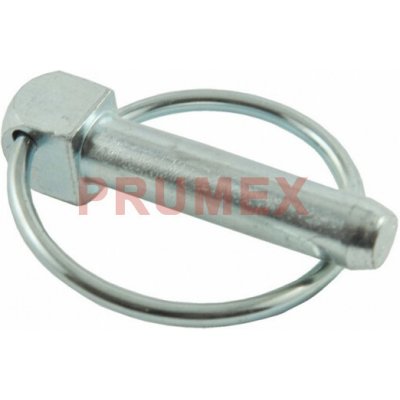 Kolík s kroužkem DIN 11023 - 10 x 42 mm – Zbozi.Blesk.cz