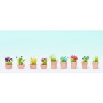 Noch květiny v květináčích 14084 – Zboží Dáma