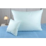 JAN peří Péřový polštář husí drané peří 20/80 mentolová 70x90 – Zboží Dáma